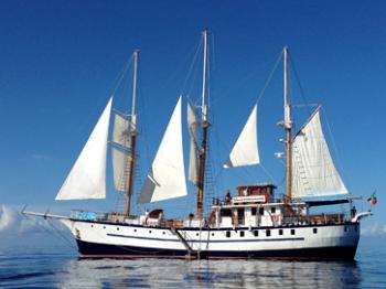The majestic Sagitta. Photo by Cindy Shurtleff
